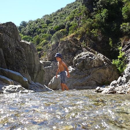 La Frigoule, Un Gite Au Coeur Du Parc Des Cevennes Generargues Buitenkant foto