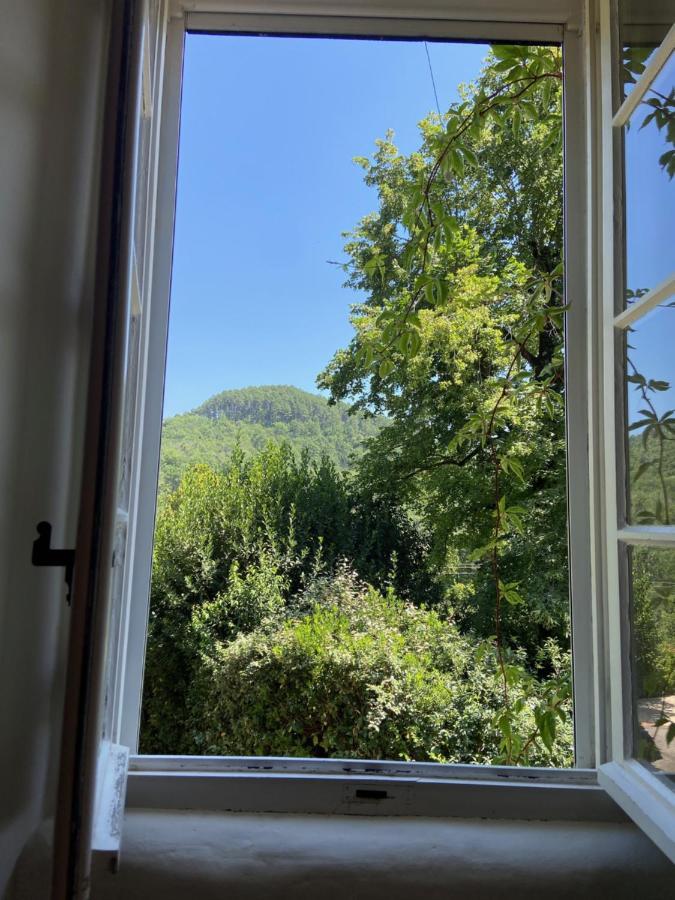 La Frigoule, Un Gite Au Coeur Du Parc Des Cevennes Generargues Buitenkant foto